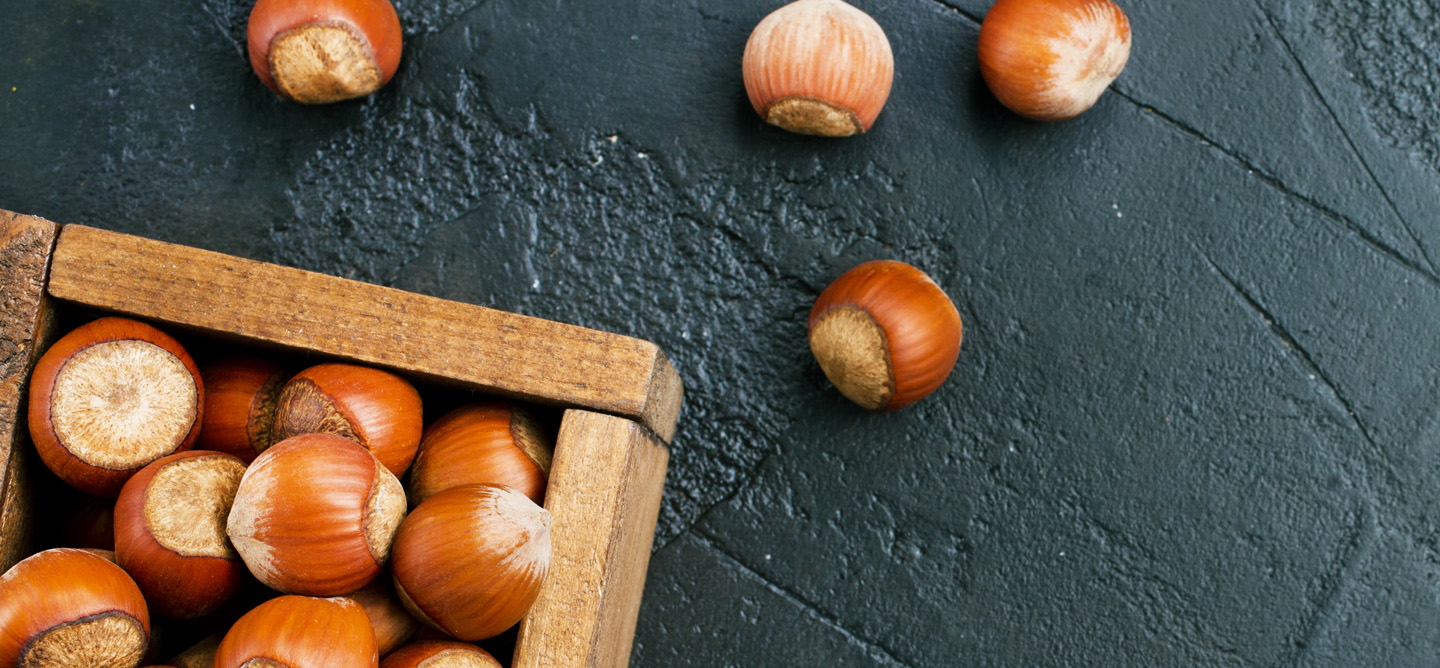 The Spanish Hazelnut Almendrave